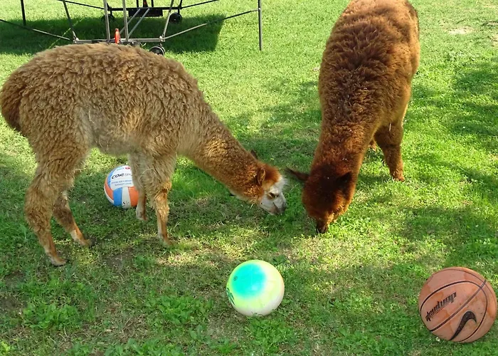 Fabelhaftes 8 Betten By Interhome *